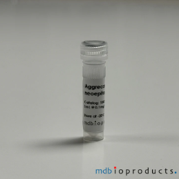 [MD Bioproducts] Aggrecan Antibody, N-terminal neoepitope FFGV, 100 ug