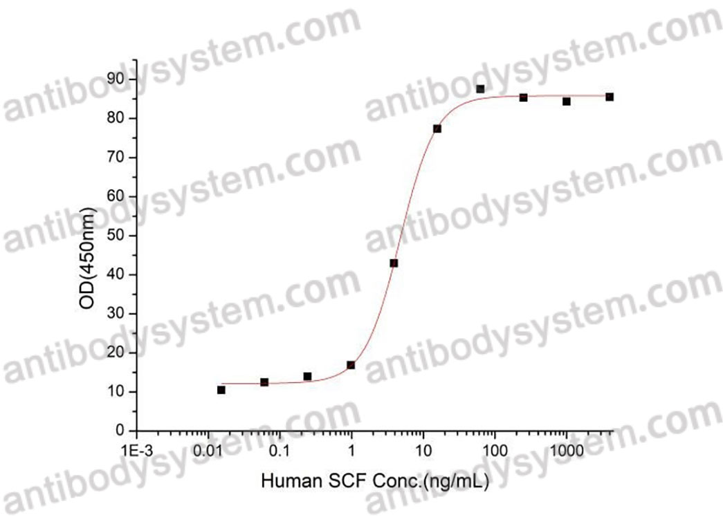 [Antibodysystem] Recombinant Human KITLG/SCF Protein, C-His (Active)