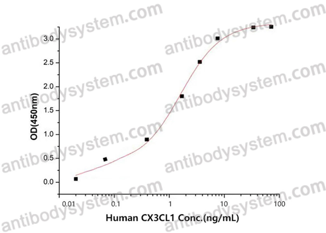 [Antibodysystem] Recombinant Human CX3CL1/Fractalkine Protein, C-His (Active)