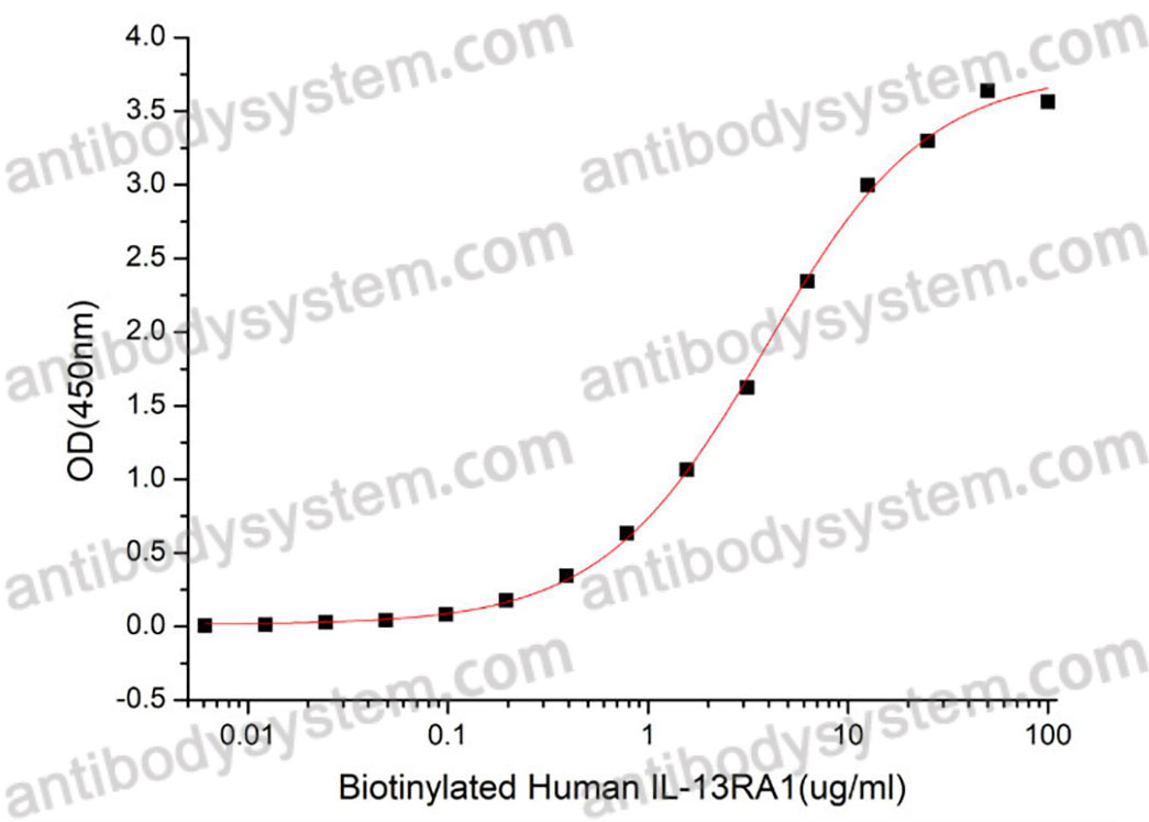 [Antibodysystem] Recombinant Human CD213a1/IL13RA1 Protein, C-His (Active)