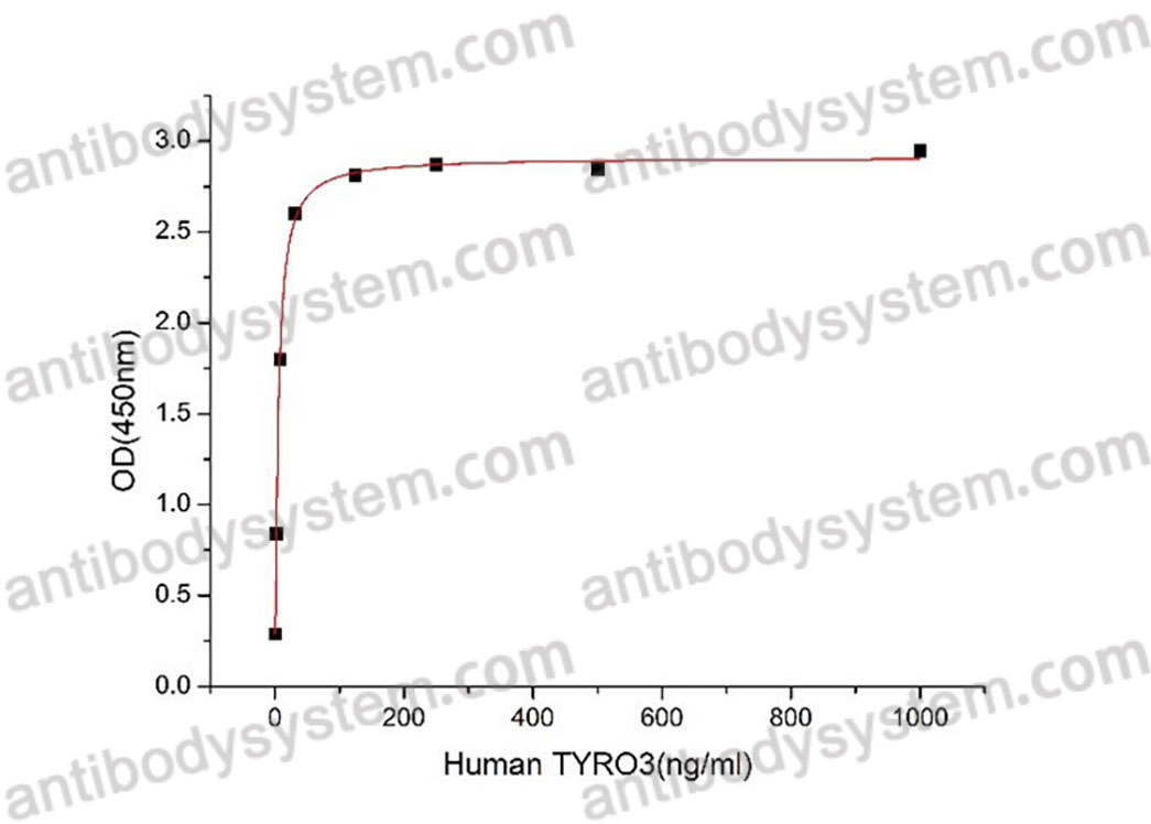 [Antibodysystem] Recombinant Human TYRO3/DTK/SYK Protein, C-hFc-His (Active)