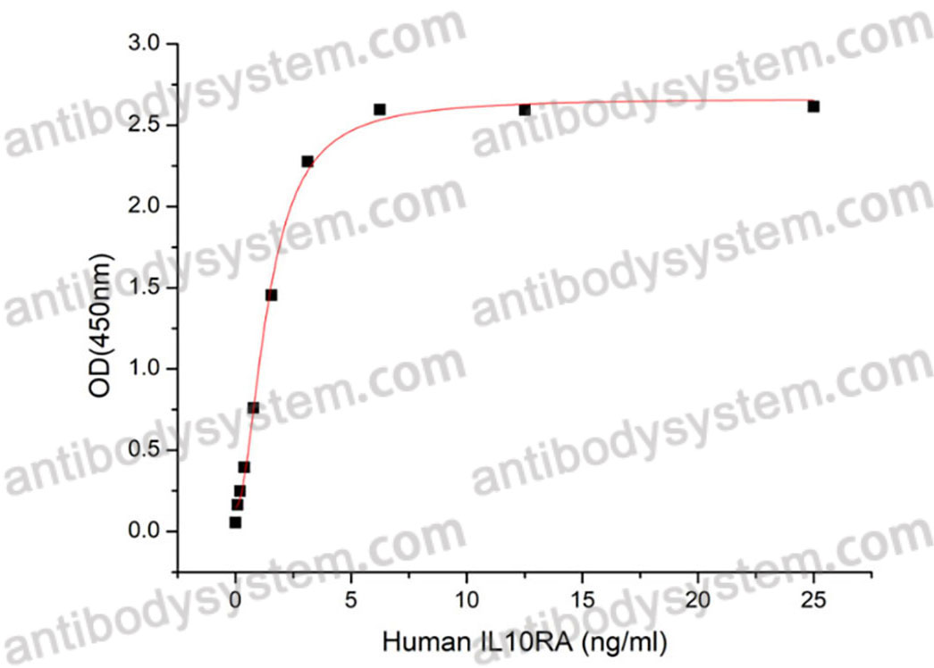 [Antibodysystem] Recombinant Human CDw210a/IL10RA Protein, C-hFc (Active)