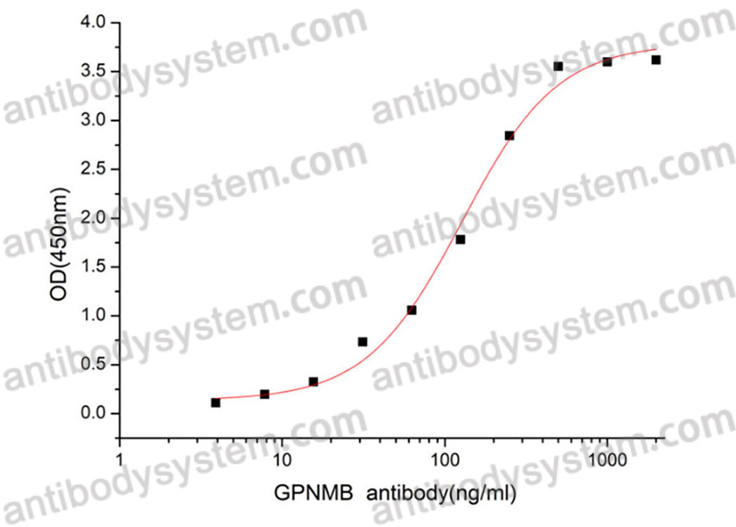 [Antibodysystem] Recombinant Human GPNMB Protein, C-His (Active)