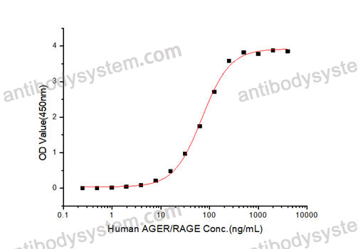 [Antibodysystem] Recombinant Human RAGE/AGER Protein, C-hFc-His (Active)