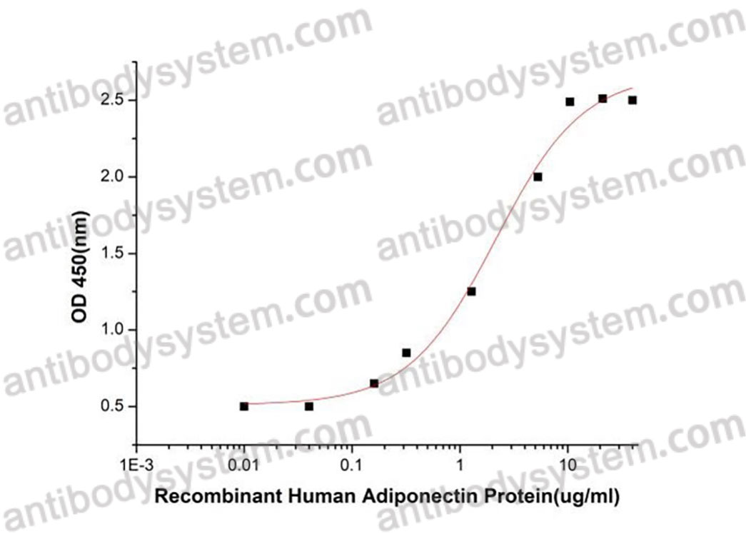 [Antibodysystem] Recombinant Human Adiponectin/ACRP30/ADIPOQ Protein, C-His (Active)
