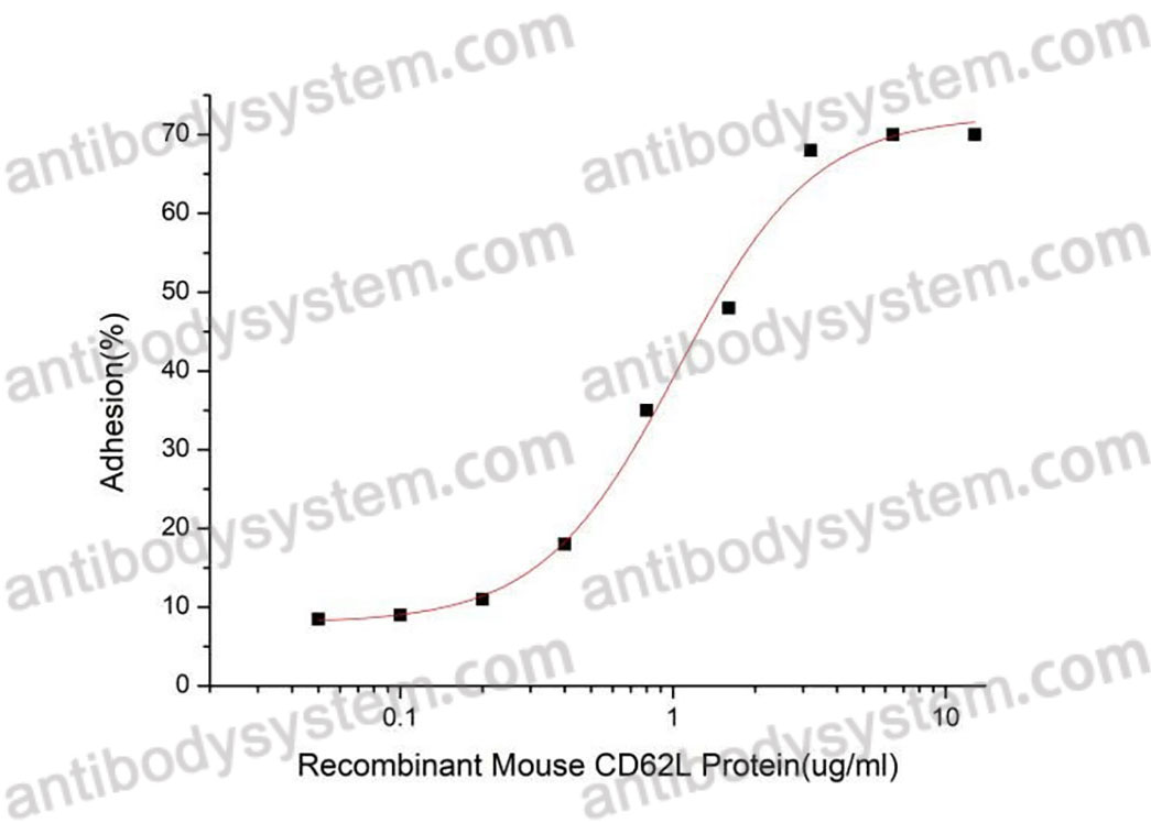 [Antibodysystem] Recombinant Mouse CD62L/SELL Protein, C-hFc-His (Active)