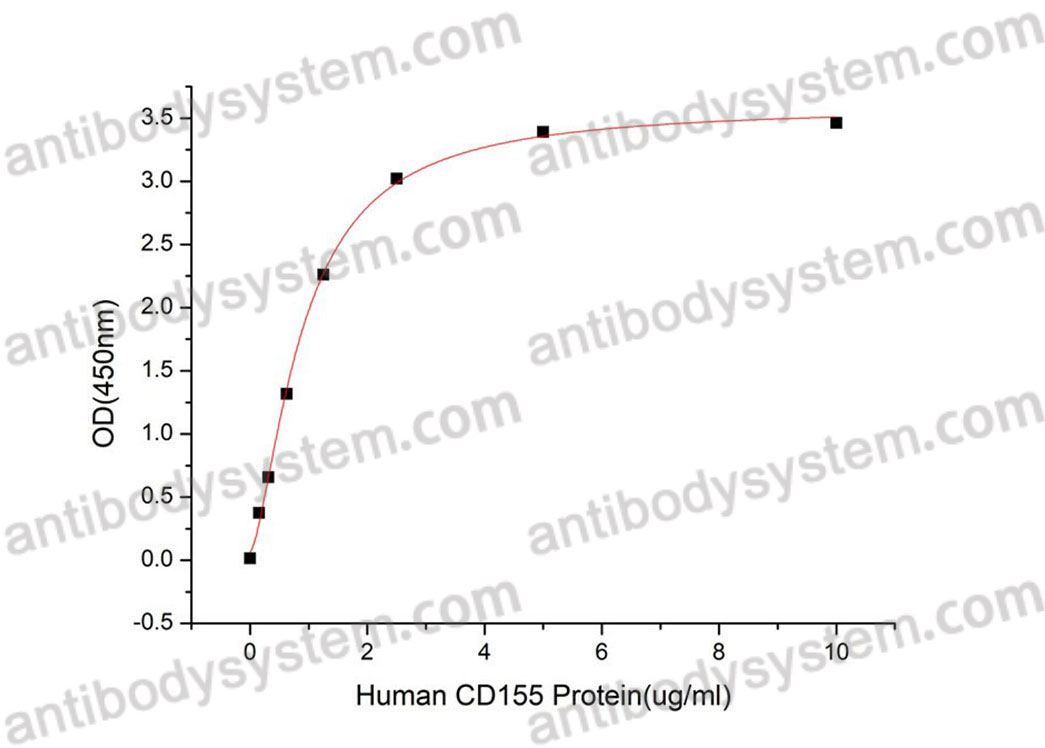 [Antibodysystem] Recombinant Human TIGIT Protein, C-His (Active)