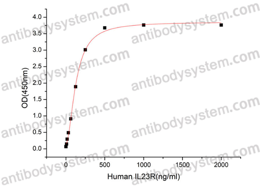 [Antibodysystem] Recombinant Human IL23R Protein, C-hFc (Active)