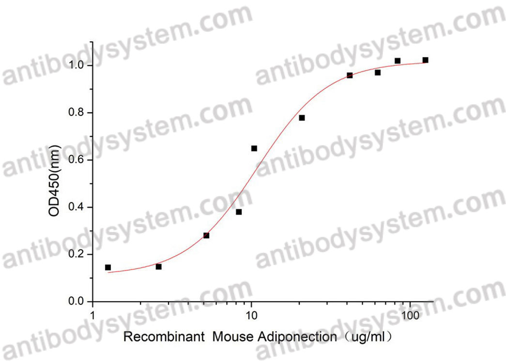[Antibodysystem] Recombinant Mouse Adiponectin/ACRP30/ADIPOQ Protein, C-His (Active)