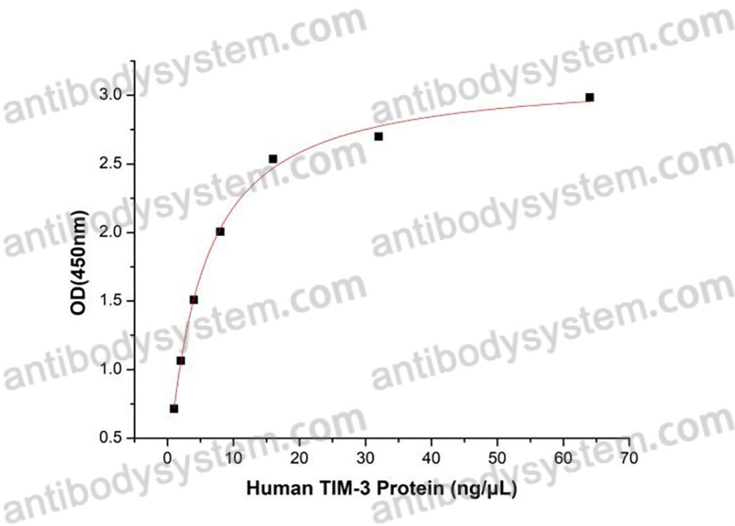 [Antibodysystem] Recombinant Human CD366/HAVCR2/TIM-3 Protein, C-hFc-His (Active)