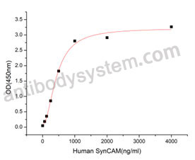 [Antibodysystem] Recombinant Human CADM1 Protein, C-His (Active)