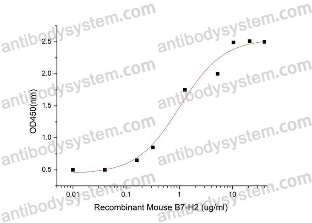 [Antibodysystem] Recombinant Mouse CD275/ICOSLG/B7-H2 Protein, C-His (Active)
