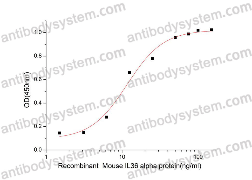 [Antibodysystem] Recombinant Mouse IL36A/IL-1F6 Protein, No tag (Active)