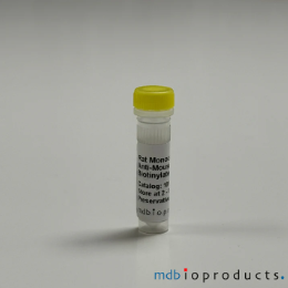 [MD Bioproducts] T1/ST2 (IL-33 R) Mouse, Monoclonal Antibody, Biotinylated, 0.5 mL