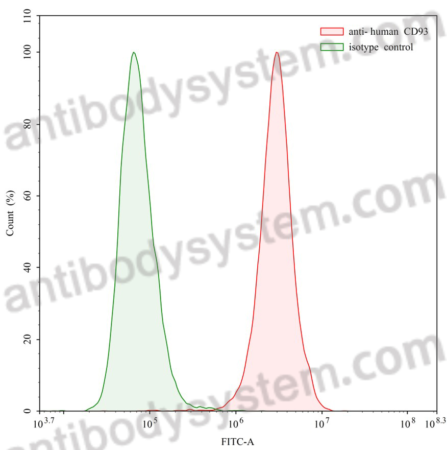 [Antibodysystem] Anti-Human CD93/C1qR Antibody (070-016)