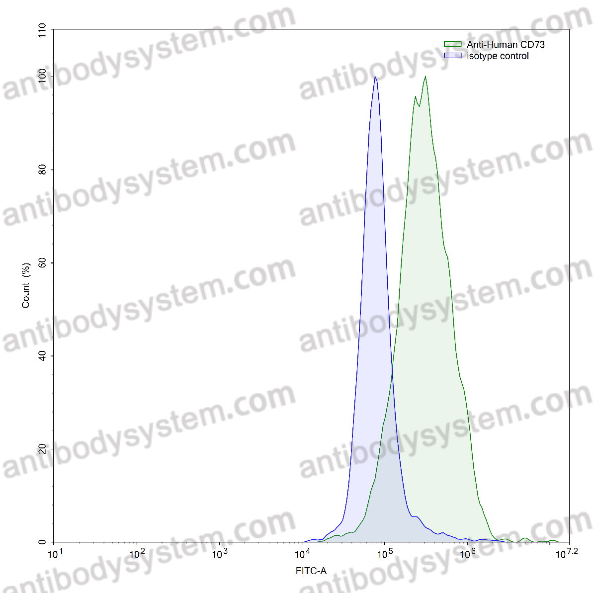 [Antibodysystem] Anti-Human CD73/NT5E Antibody (SAA0034)