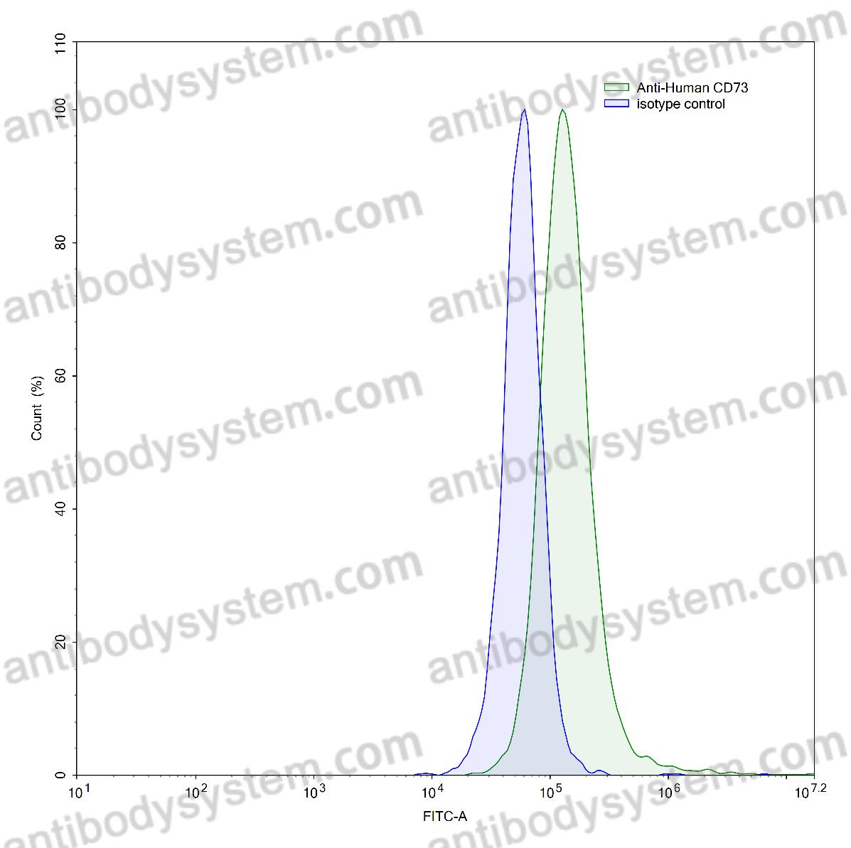 [Antibodysystem] Anti-Human CD73/NT5E Antibody (SAA0032)