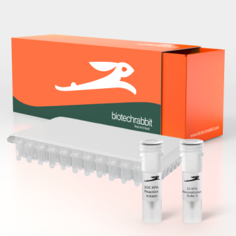 [Biotechrabbit] 2X RT-RPA exo Master Mix, lyophilized