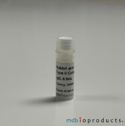 [MD Bioproducts] Collagen Type II Antibody, anti-Human, 100 uL