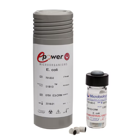 [Microbiologics] Aspergillus flavus derived from ATCC® 9643™