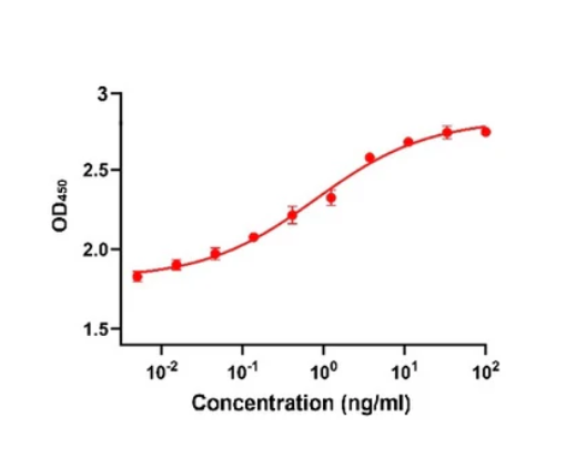 [YEASEN] Recombinant Human FGF basic/FGF2/bFGF, GMP Protein