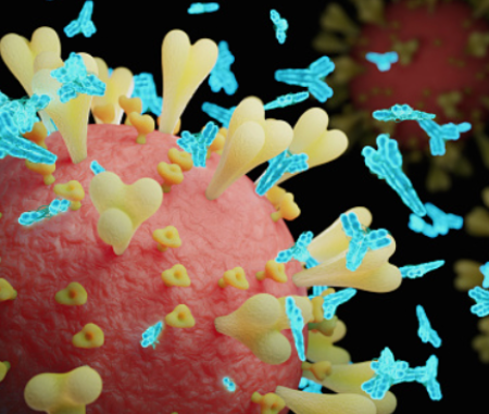 [Virongy] SARS-CoV-2 Neutralizing Antibody