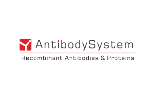 [Antibodysystem] Research Grade Anti-Human CD16/FCGR3 Antibody (GMA-161)