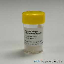 [MD Bioproducts] Collagen Type I (Atelocollagen), Rat, 30 mg