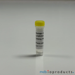 [MD Bioproducts] Human Collagen Type I, Lyophilized 0.1 mg