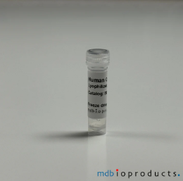 [MD Bioproducts] Human Collagen Type II, Lyophilized 0.1 mg