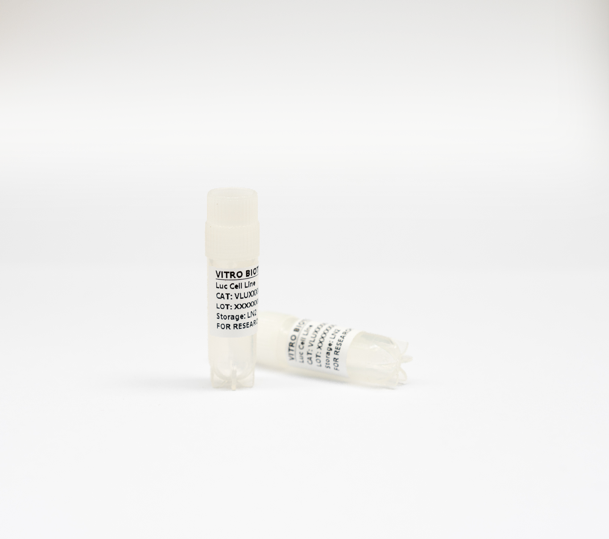 [Virto Biotech] TE-1-Luc Cell line