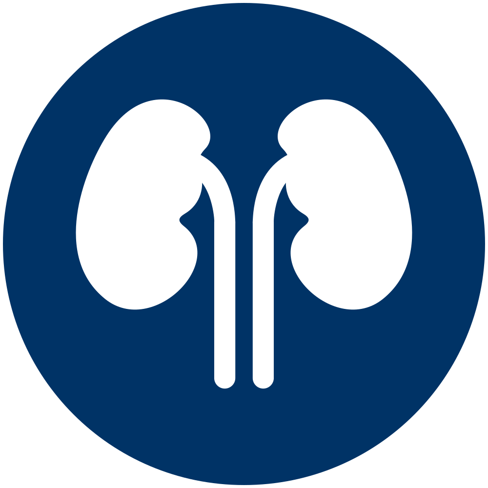 [Hytest] Kidney injury molecule (KIM-1)