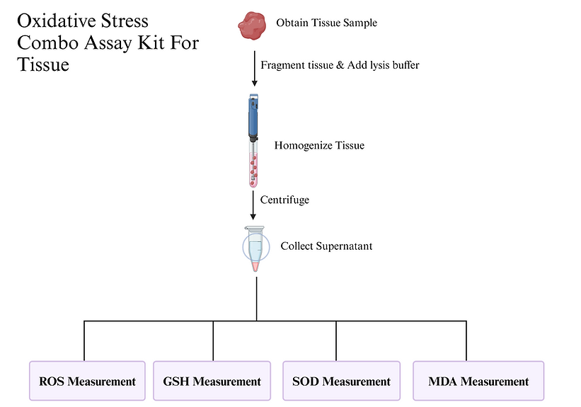 [Signosis] Oxidative Stress Combo Assay Tissue Kit (100 Tests per Analyte)