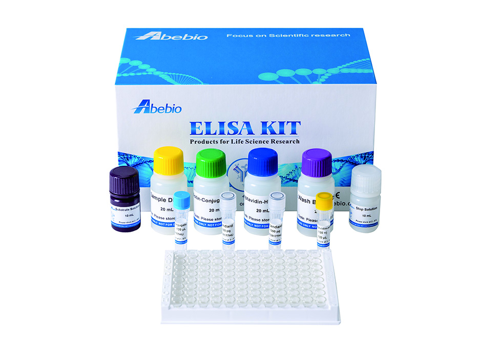 [Abebio] Cat Deoxypyridinoline (DPD) ELISA Kit