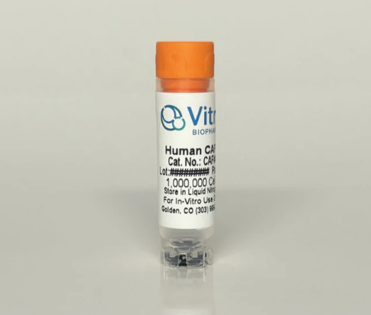 [Vitro Biopharma] Human Lung Adenocarcinoma Cancer-Associated Fibroblasts (CAFs): 1,000,000 Cells