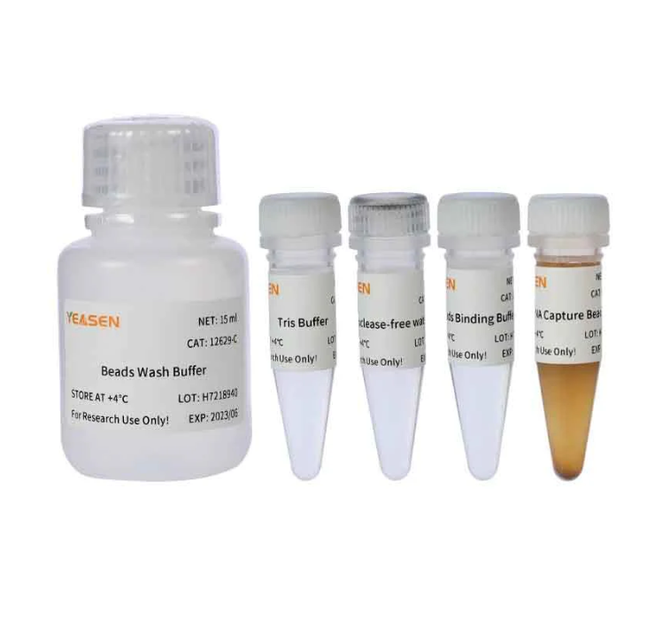 [YEASEN] Hieff NGS™ mRNA Isolation Master Kit V2