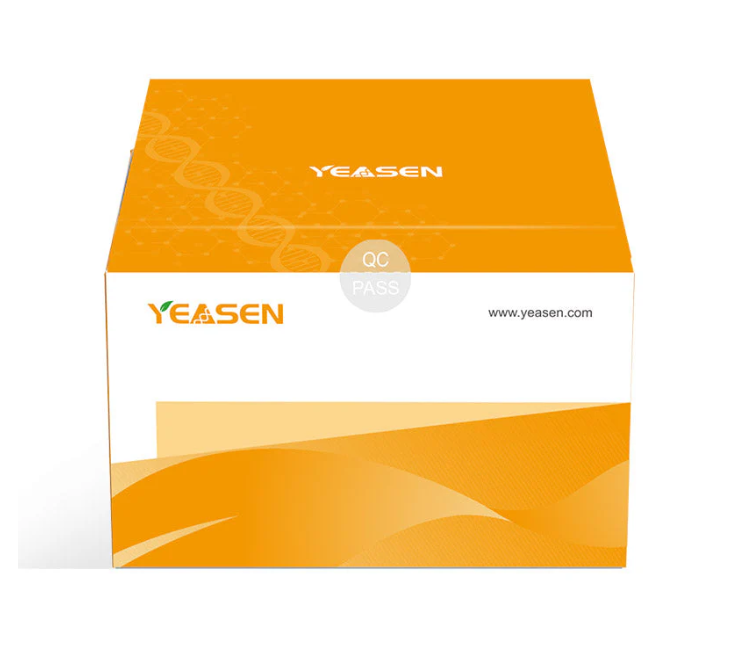 [YEASEN] Hieff NGS™ MaxUp Human/Mouse/Rat rRNA Depletion Kit(rRNA ITS/ETS) 2.0
