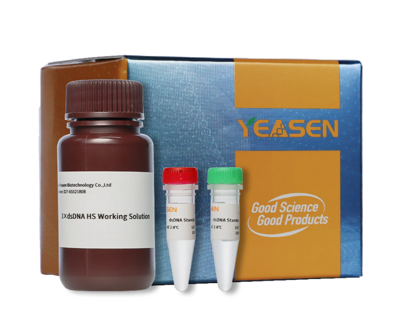 [YEASEN] 1× dsDNA HS Assay Kit