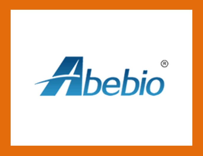 [Abebio] Antibody 제품 리스트