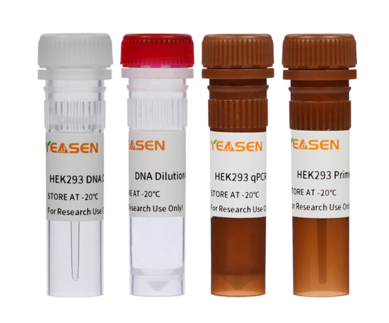 [YEASEN] HEK293 Host Cell DNA Residue Detection Kit (3G)