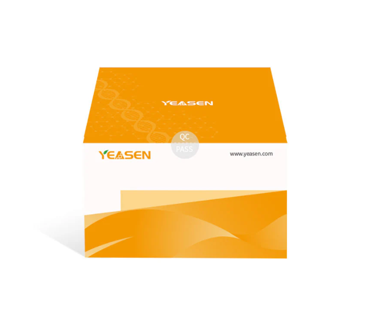 [YEASEN] Boc-QRR-pNA