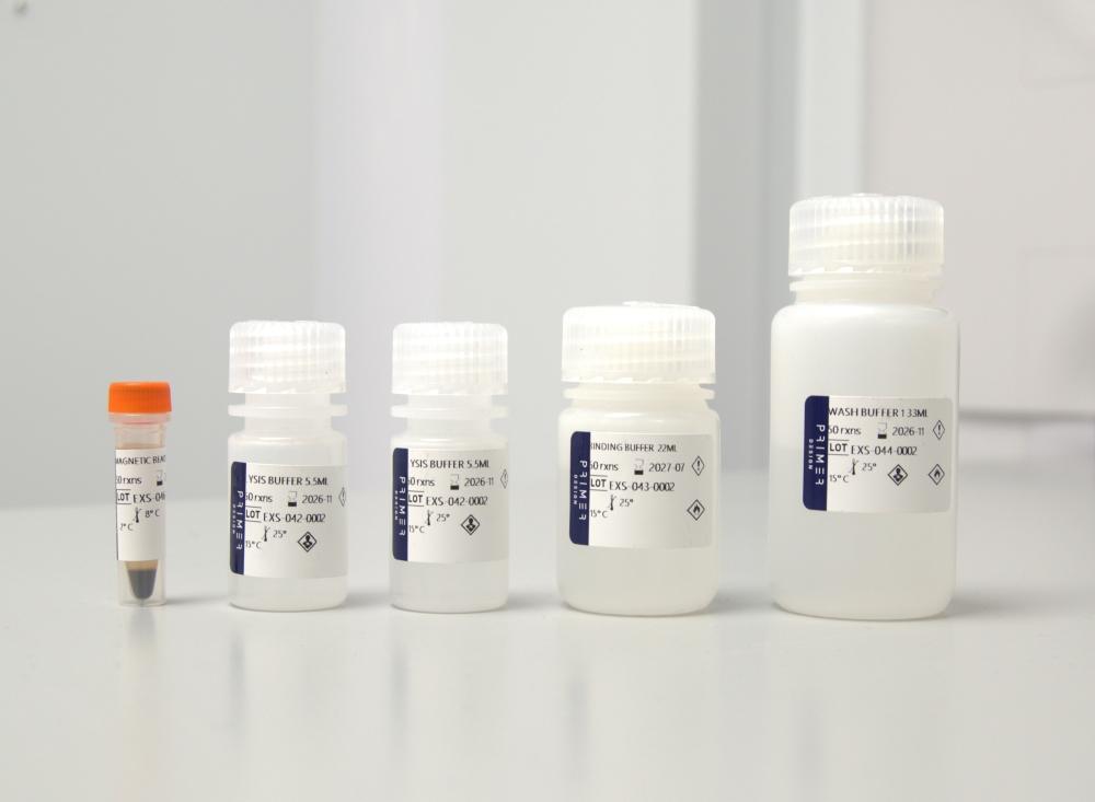 [Primer Design] exsig® Mag RapidBead Pro