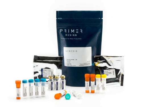 [Primer Design] Zika Virus