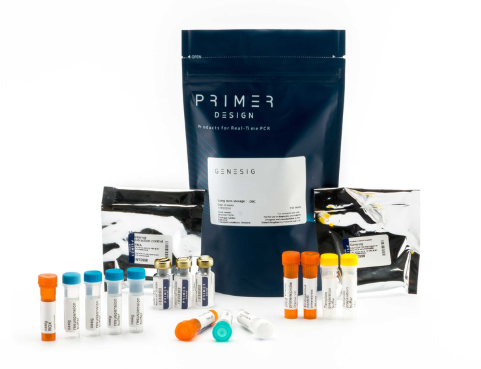 [Primer Design] H1N1 Influenza