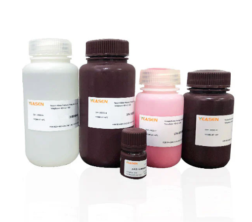 [YEASEN] PAGE Gel Quick Preparation Kit (10%)