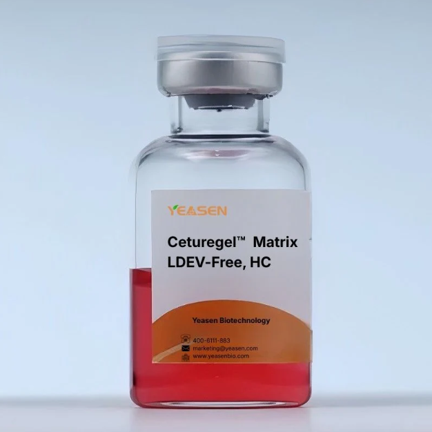 [YEASEN] Ceturegel™ Matrix High Concentration, LDEV-Free