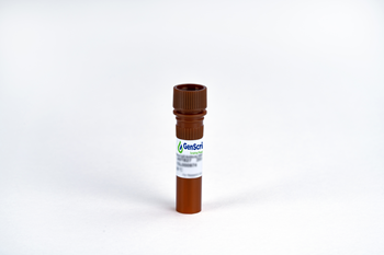 [Genscript] MonoRab™ Rabbit Anti-Camelid VHH Antibody [iFluor488], mAb