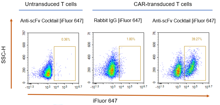 [Genscript] MonoRab™ Rabbit Anti-scFv Cocktail [iFluor 647]