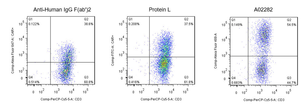 [Genscript] MonoRab™ Rabbit Anti-scFv Cocktail