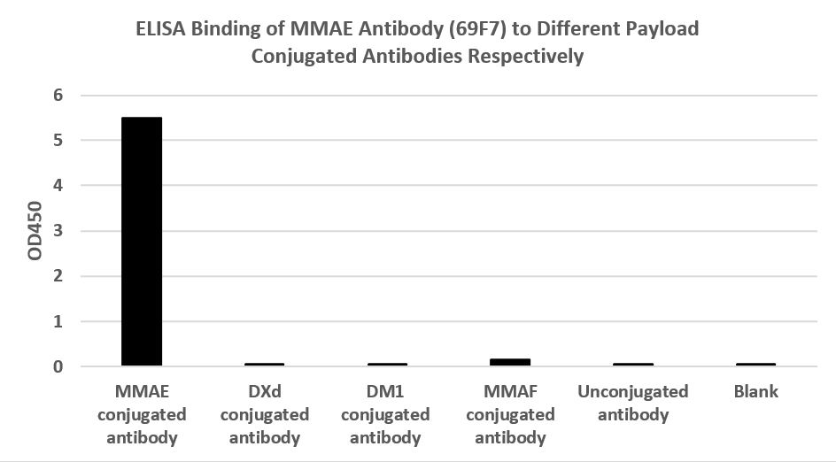 [Genscript] MMAE Antibody (69F7), mAb, Mouse
